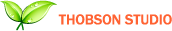 thobson studio